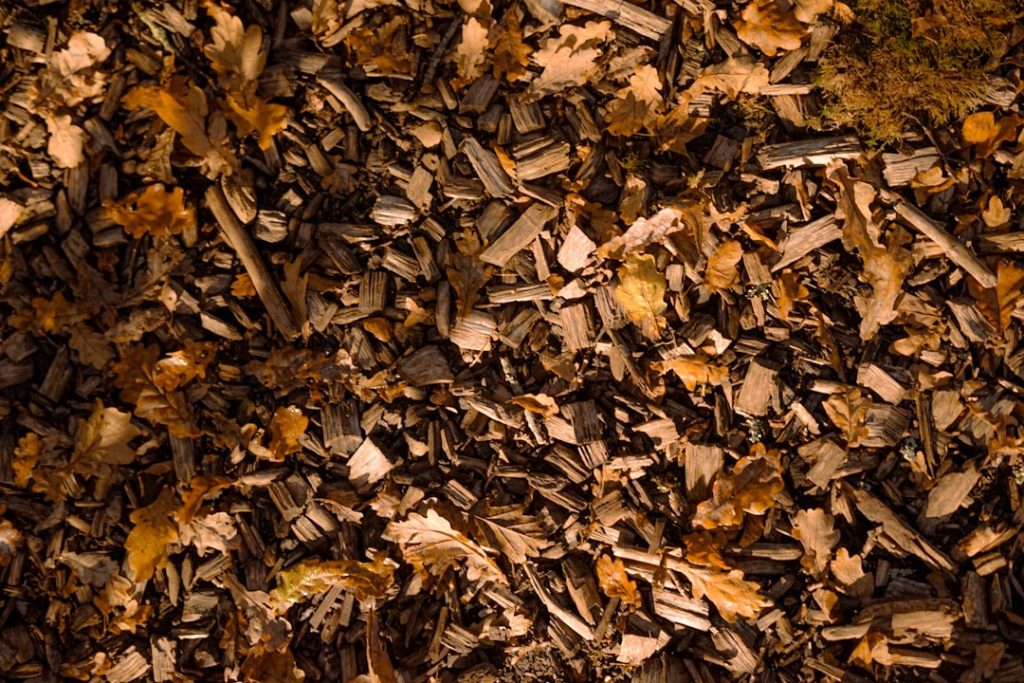 effiziente hackschnitzelheizung: nachhaltige und kostensparende lösung für umweltfreundliche wärmeversorgung mit holzspänen.