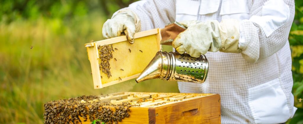 erfahren sie alles über imkerei: tipps zur bienenhaltung, honigproduktion und schutz der bienen für eine erfolgreiche und nachhaltige bienenzucht.