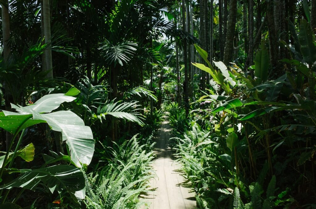 entdecken sie den botanischen garten, einen einzigartigen ort voller exotischer pflanzen und entspannender naturpfade. perfekt für naturfreunde und familien.
