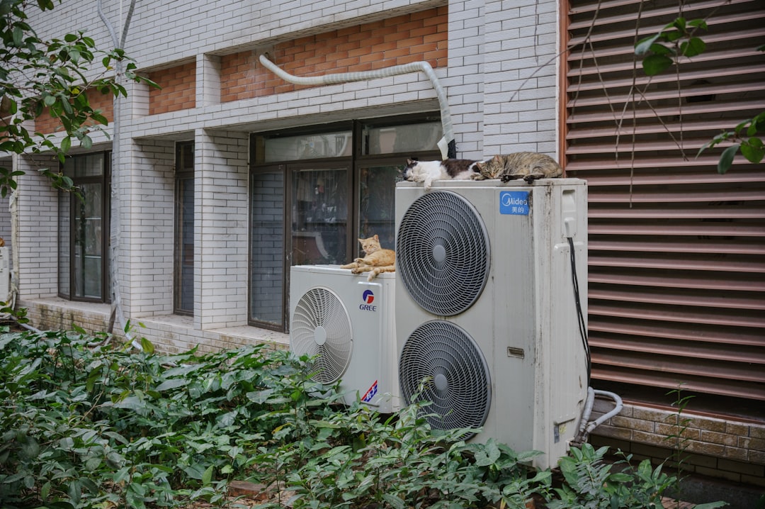 effiziente und umweltfreundliche wärmepumpen für nachhaltige heiz- und kühllösungen in ihrem zuhause oder gewerbe.